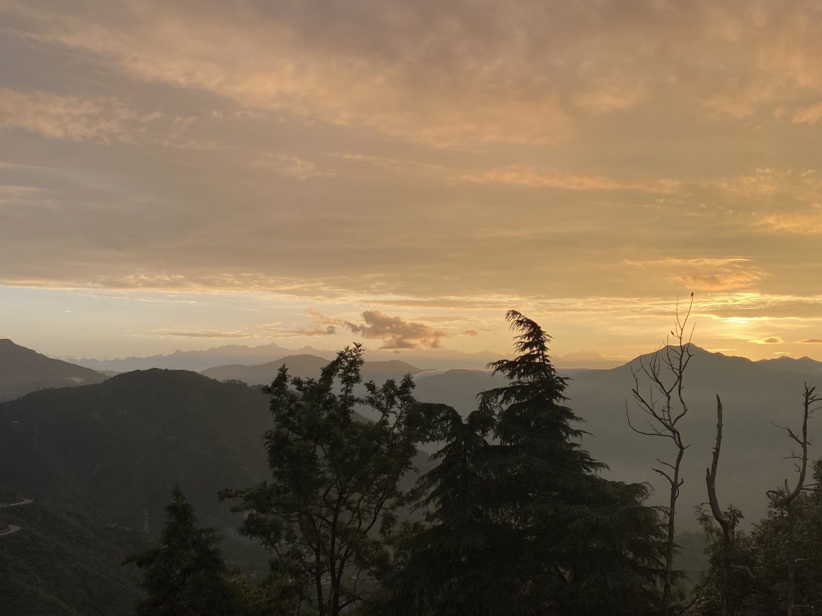 My Yoga journey so&nbsp;far