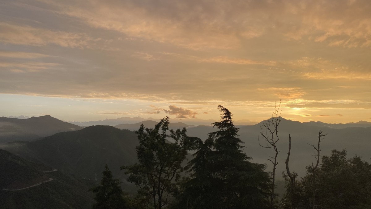 My Yoga journey so&nbsp;far